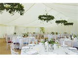 Listing image for Wedding Marquees