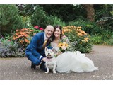 Listing image for A Beautiful Day with a Hong Kong Bride and British Groom in Chester