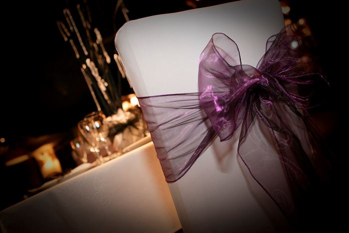 Lily Special Events - Chair Covers