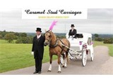 Listing image for Carriage hire